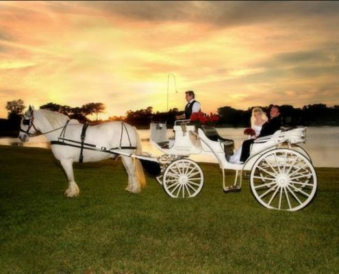 Bride and groom riding in a white horse-drawn carriage at sunset