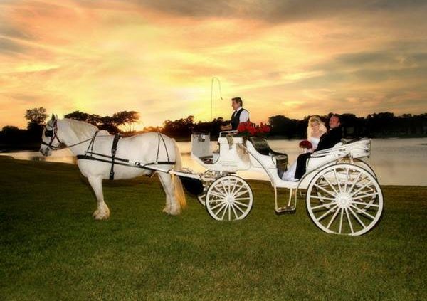 A hourse drawn carriage with couple