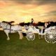 Bride and groom riding in a white horse-drawn carriage at sunset