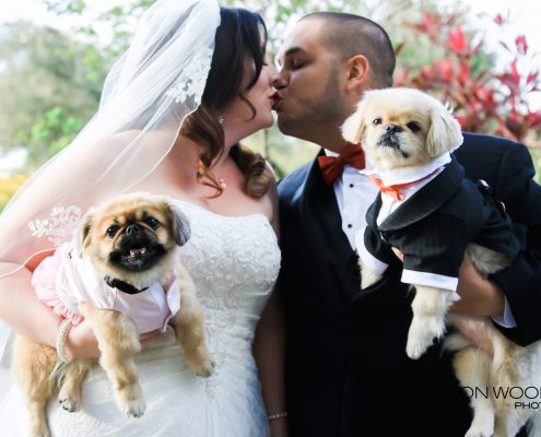 A couple kissing with their dogs